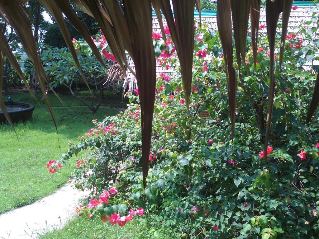 Ban Sabai Sabai Guest House Kanchanaburi Ngoại thất bức ảnh